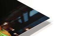 4207 HD Metal print