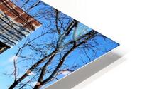 4208 HD Metal print