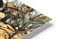 4228 HD Metal print
