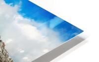 4229 HD Metal print