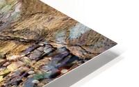 4230 HD Metal print
