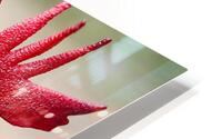 4231 HD Metal print