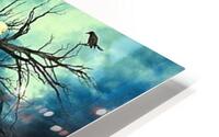 4232 HD Metal print