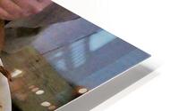 4272 HD Metal print