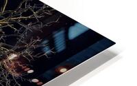 4275 HD Metal print