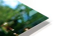 4293 HD Metal print