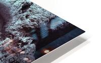 4294 HD Metal print