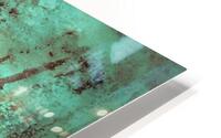 4296 HD Metal print
