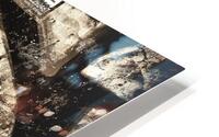 4314 HD Metal print