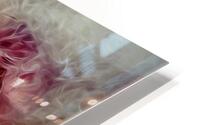4350 HD Metal print