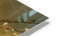 4356 HD Metal print