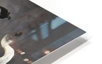 4358 HD Metal print