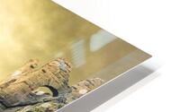 4359 HD Metal print