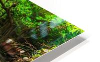 4372 HD Metal print