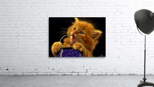091 Wall Preview
