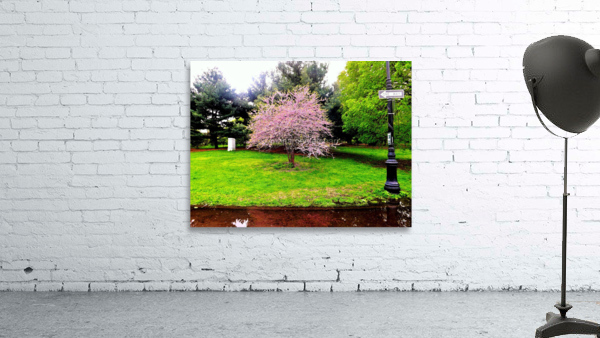 176 Wall Preview