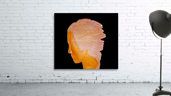 222 Wall Preview