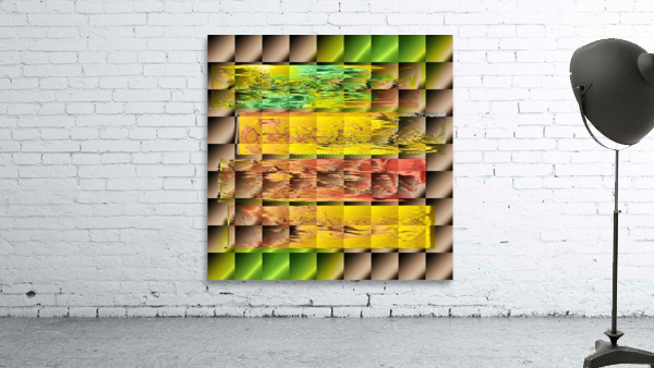 282 Wall Preview