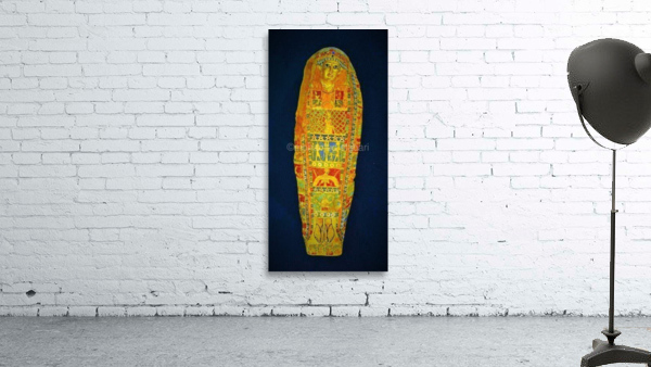 303 Wall Preview