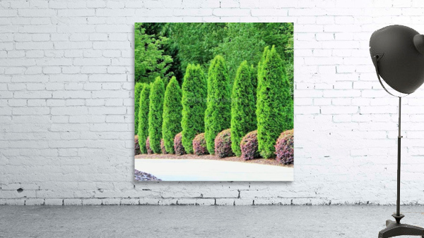 327 Wall Preview