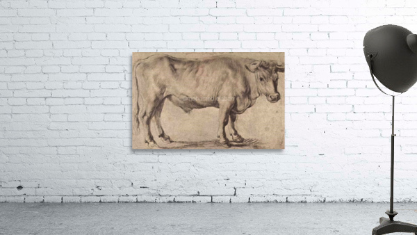 517 Wall Preview