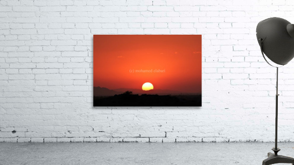 531 Wall Preview