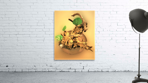 563 Wall Preview