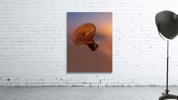 570 Wall Preview