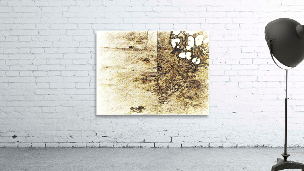 608 Wall Preview
