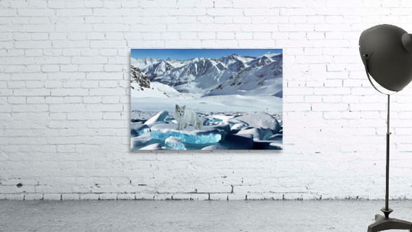 652 Wall Preview