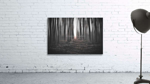 681 Wall Preview