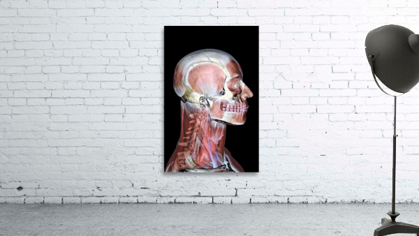 767 Wall Preview