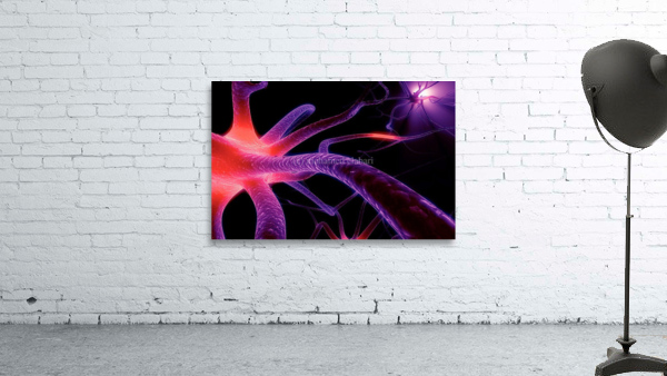 778 Wall Preview