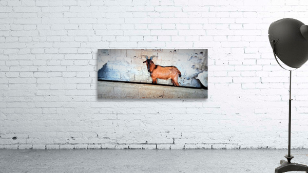 929 Wall Preview