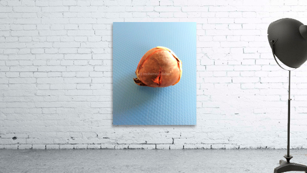 967 Wall Preview