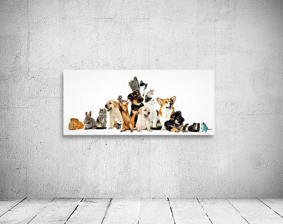 1029 Wall Preview