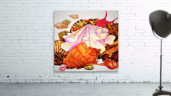 1231 Wall Preview