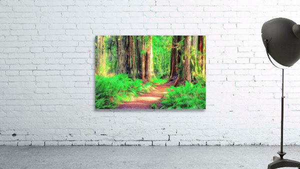 1259 Wall Preview