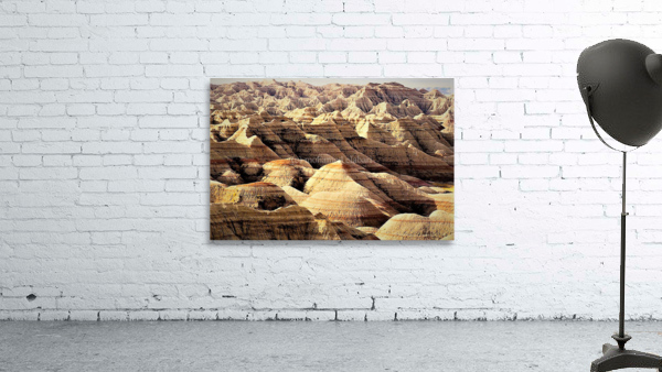 1321 Wall Preview