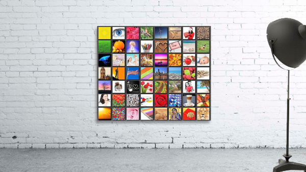 1486 Wall Preview