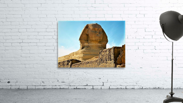 1539 Wall Preview