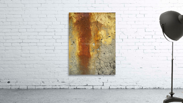 1556 Wall Preview