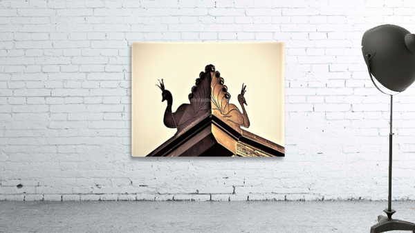 1588 Wall Preview