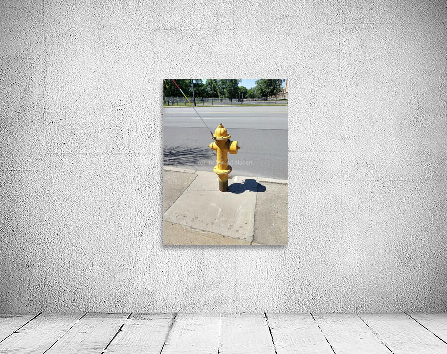 1673 Wall Preview