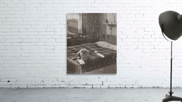 1780 Wall Preview