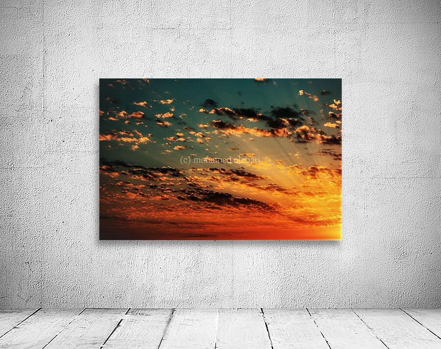 2068 Wall Preview