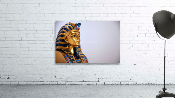 2120 Wall Preview