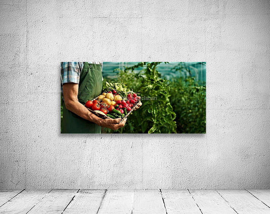 2203 Wall Preview