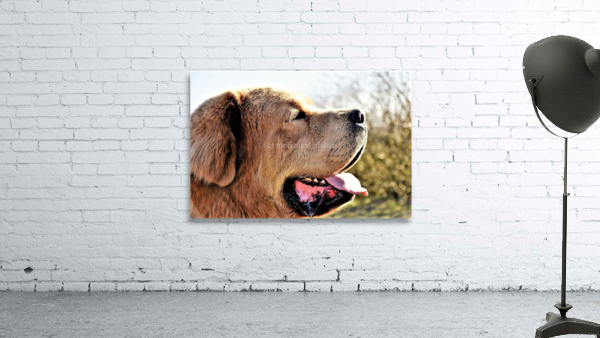 2273 Wall Preview