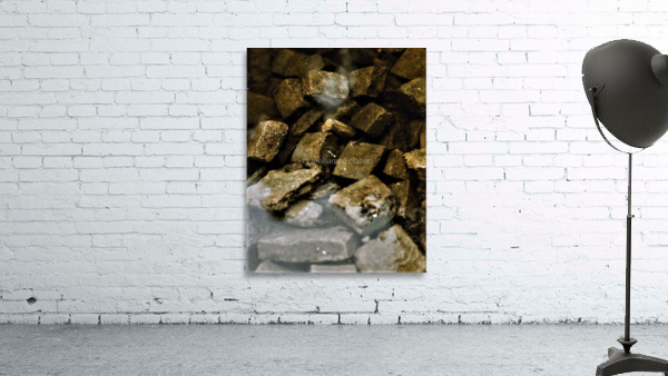 2274 Wall Preview